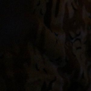 Meet your Posher, Sade